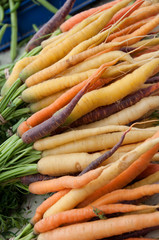Rainbow Carrots