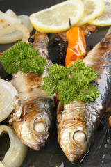 frisch gegrillte Sardinen als Speise zubereitet