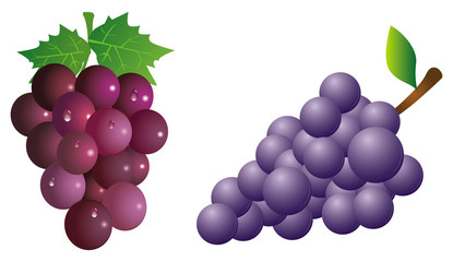 grapes collection