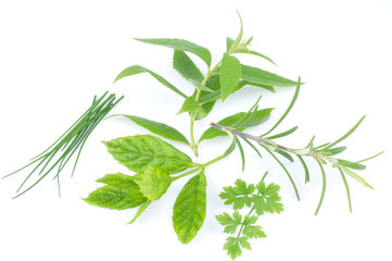 Herbes aromatiques