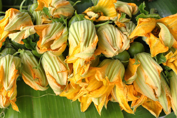 Pumpkin flowers