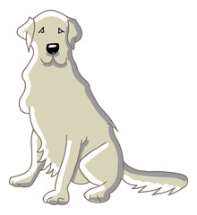 Labrador sitting