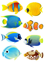 Obraz premium Set of tropical fish