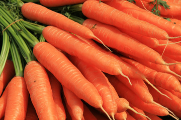 Carrots