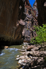 The Narrows