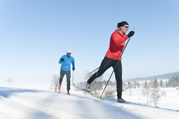 Fototapeta na wymiar Idealny dzień dla narciarstwa biegowego