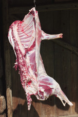 Raw red lamb meat on a hook