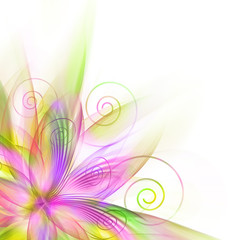 Best Romantic Flower Background