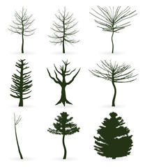 Obraz premium Trees icon5