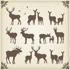 Fototapeta premium Vintage vector deer and moose illustration