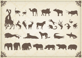 Vintage african animals illustration collection
