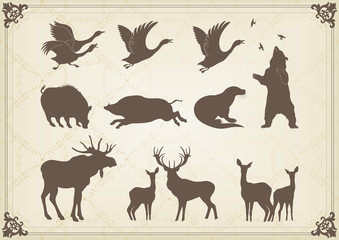Vintage wild animals collection