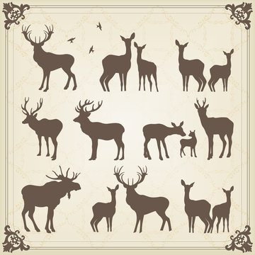 Vintage vector deer and moose illustration