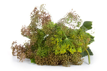 Set of herbs for preserving vegetables