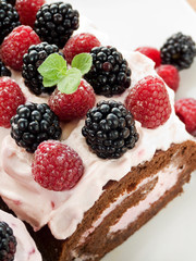 Berry roulade
