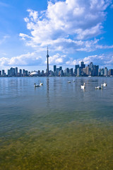 Obraz premium Harmony in the Lake