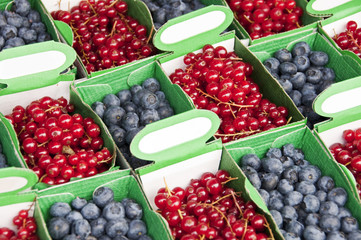 Barquettes de myrtilles et groseilles au marché