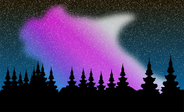 Vector aurora polaris over forest
