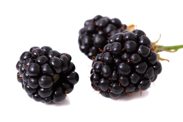Blackberries on white