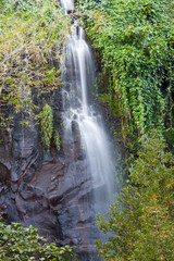 Fototapeta premium Anse des Cascades, île de la Réunion