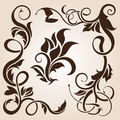 Obraz premium Brown floral design element collection