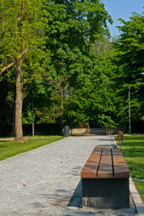 Bench and avenue in park