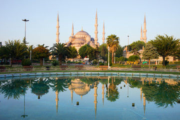 Obraz premium Blue Mosque at Dawn