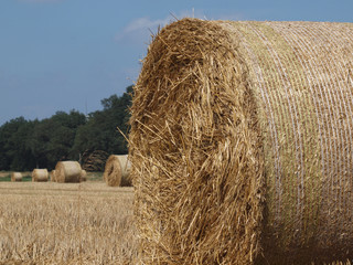 Strohballen auf dem Feld