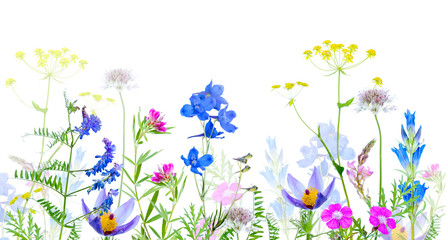 Obraz na płótnie Canvas Wildflowers