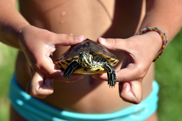 Niña con una tortuga