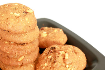 Oatmeal Cookie