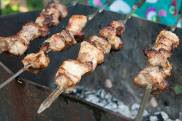 Barbecues grill with smoke
