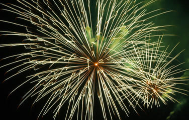 Fireworks beautiful bright colors and shapes