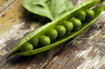 Guisantes frescos