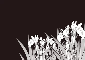 Voilages Fleurs noir et blanc Motif graphique