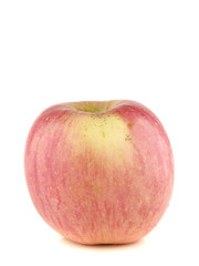 isolate red apple