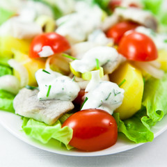 Herring salad with potatoes and yogurt sauce