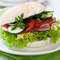 Healthy sandwich with fresh vegetables
