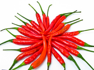 group of red chilies with white background