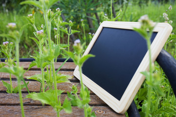 blackboard