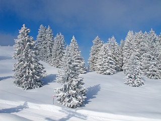 Winter in the alps