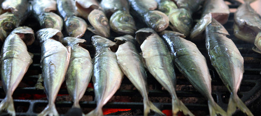 Small grilled fish from the Black Sea