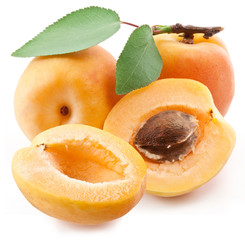 Apricots with leaves