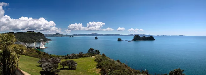 Cercles muraux Nouvelle-Zélande Côte à Hahei