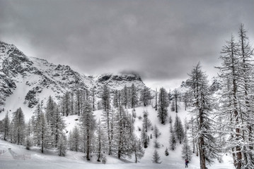 winter