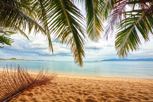 Tropical Beach Under Gloomy Sky