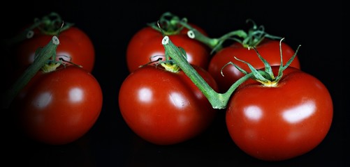 Frische Tomaten