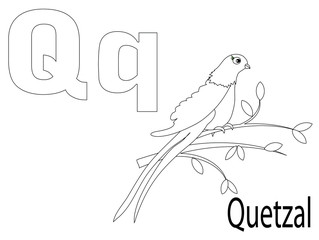 Coloring Alphabet for Kids ,Q