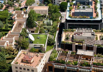 Les toits verts