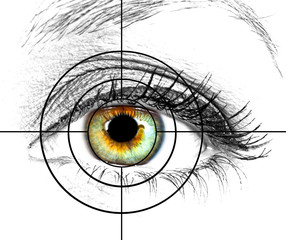 Human eye and target